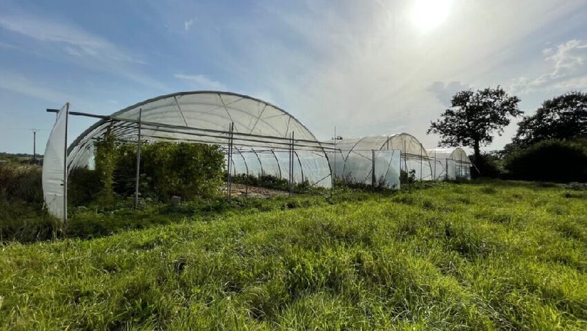 ferme test
